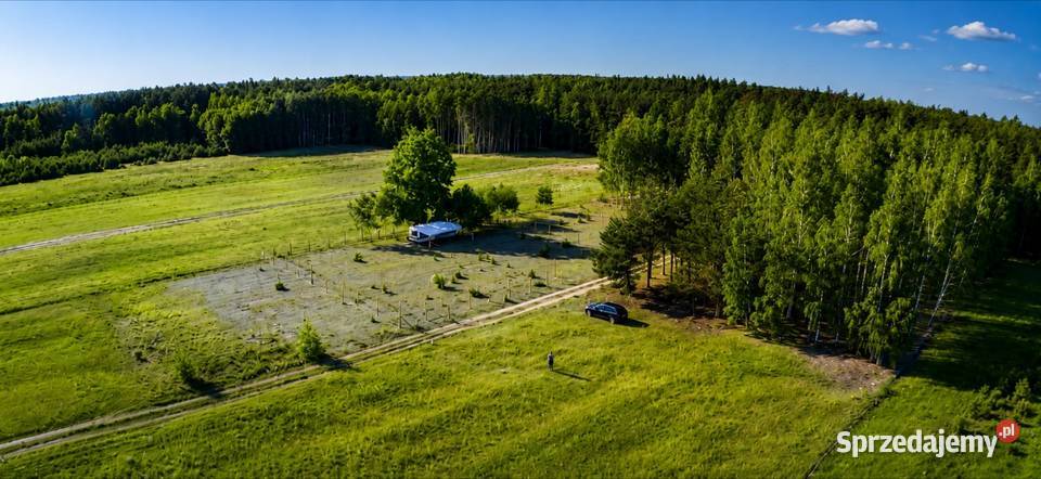 Działka bud Bobrowniki 1076M2 1208M2 WZ dookoła Grunty i działki