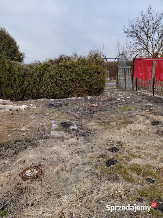 Działka ROD Parkiem w Pile Piła