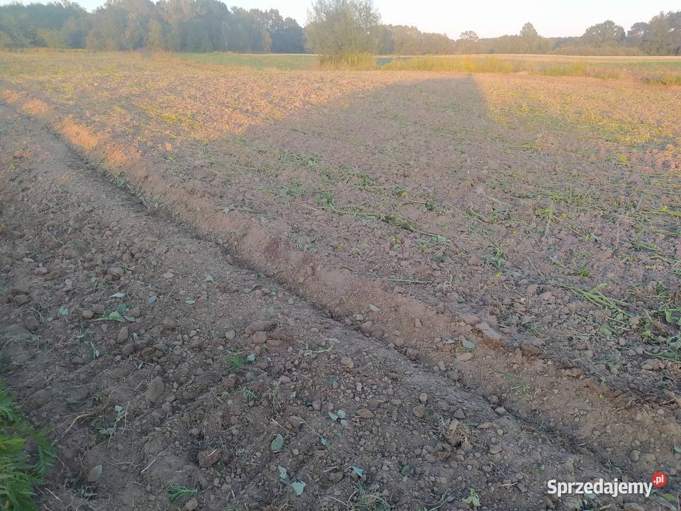 Brona talerzowa DEXWAL ŻUK 20 m Rudnik nad Sanem