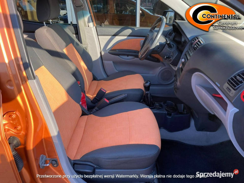 Kia Picanto stan I 20042010 lakier metallic Żory