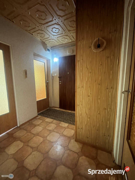 Do sprzedaży mieszkanie Staszów 6139m2 3 pokoje 4707zł/m2 Mieszkania