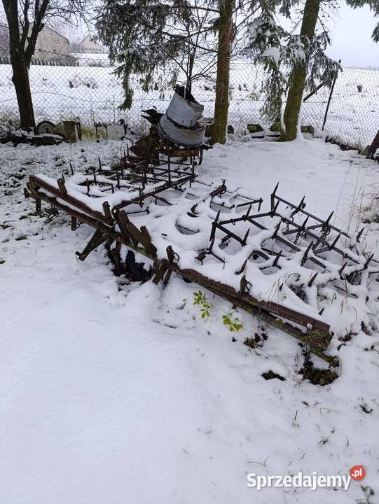 Brony polowe 5 lekkie Kasiłan