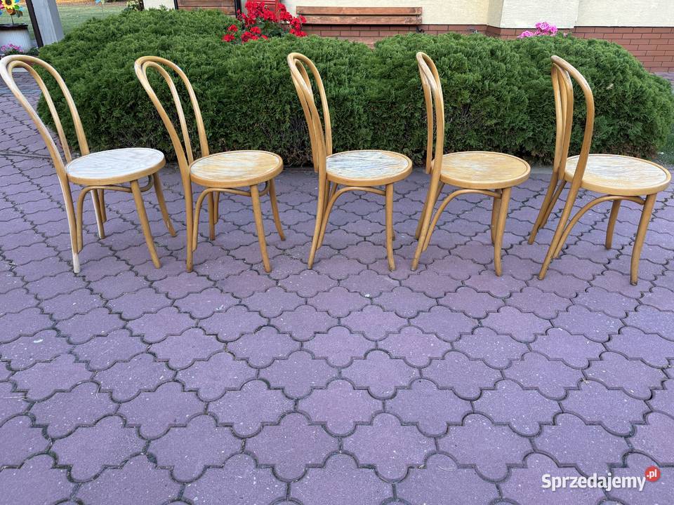 Krzesła gięte 5 Fameg do renowacji art deco mazowieckie sprzedam