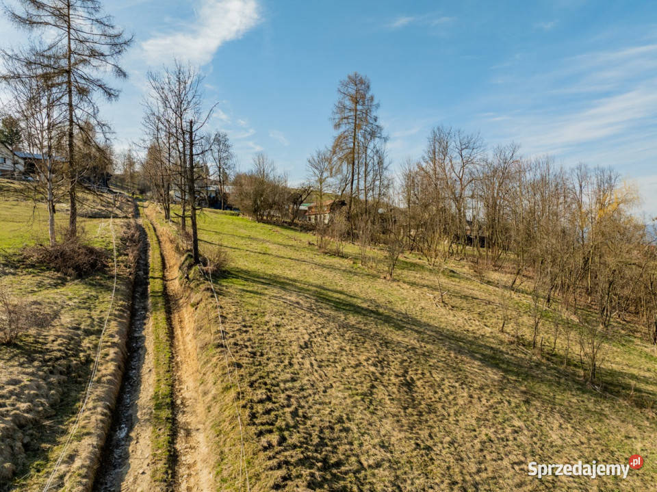 W SIELSKIM KRAJOBRAZIE PODHALA Sprzedaż Czarna Góra