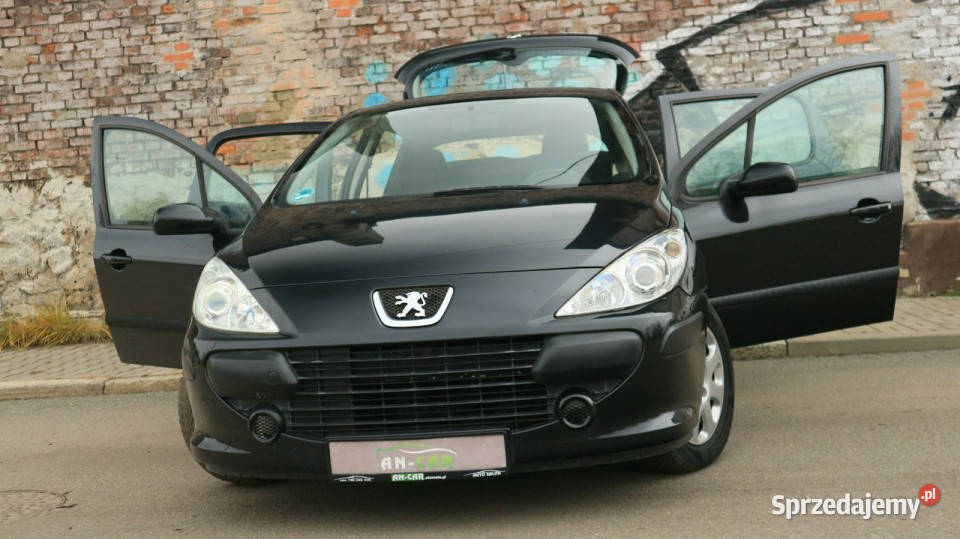 Peugeot 307 14 16VKlimatyzacjaElektrykaNiski Bytom