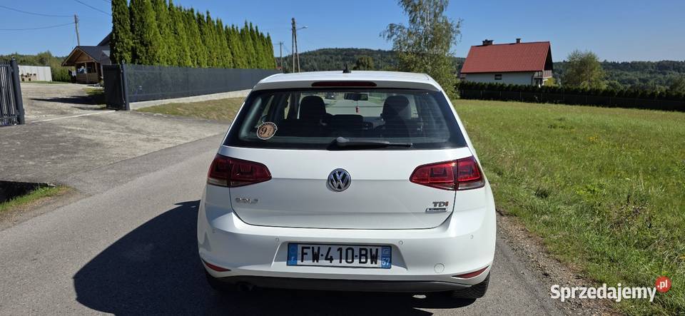Volkswagen Golf VII 16 TDI Hatchback Samochody osobowe Stanisław Górny sprzedam