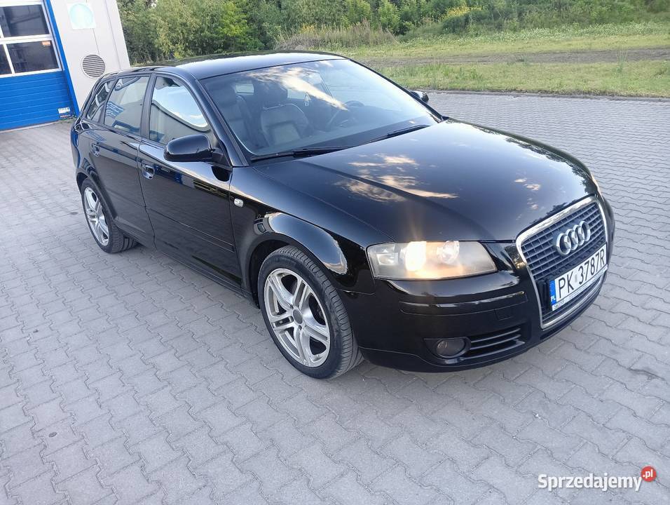Sprzedam Audi A3 8P Paniewo