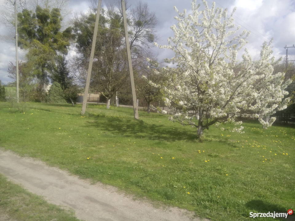 Sprzedam Dom Terespol Pomorski