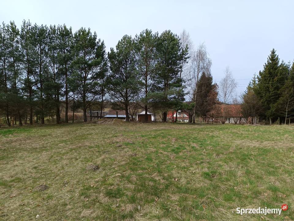 Działka rolna Przeradz gmina Grzmiąca