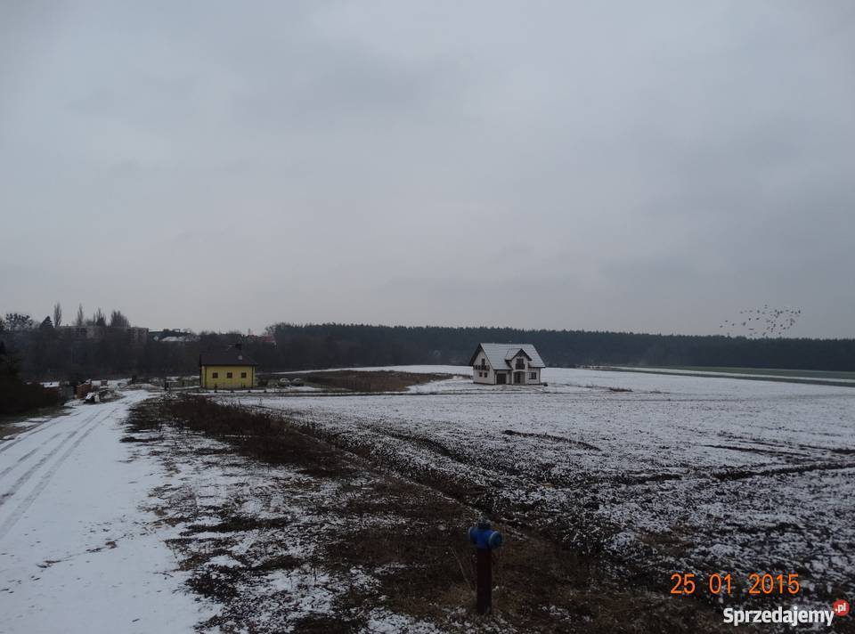 Sprzedam piękną działkę budowlaną Golubia Antoniewo