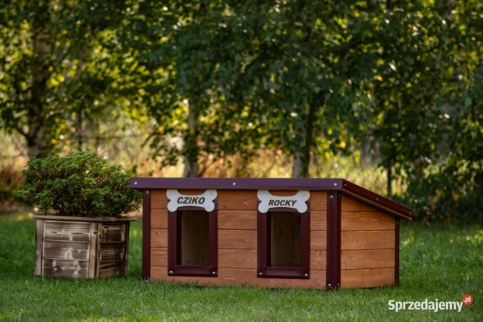 BUDA psa podwójna PRODUCENT Bez płyt wzmacniana Dla psów Stopnica