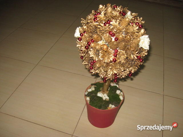 drzewko z szyszek Wielgomłyny sprzedam