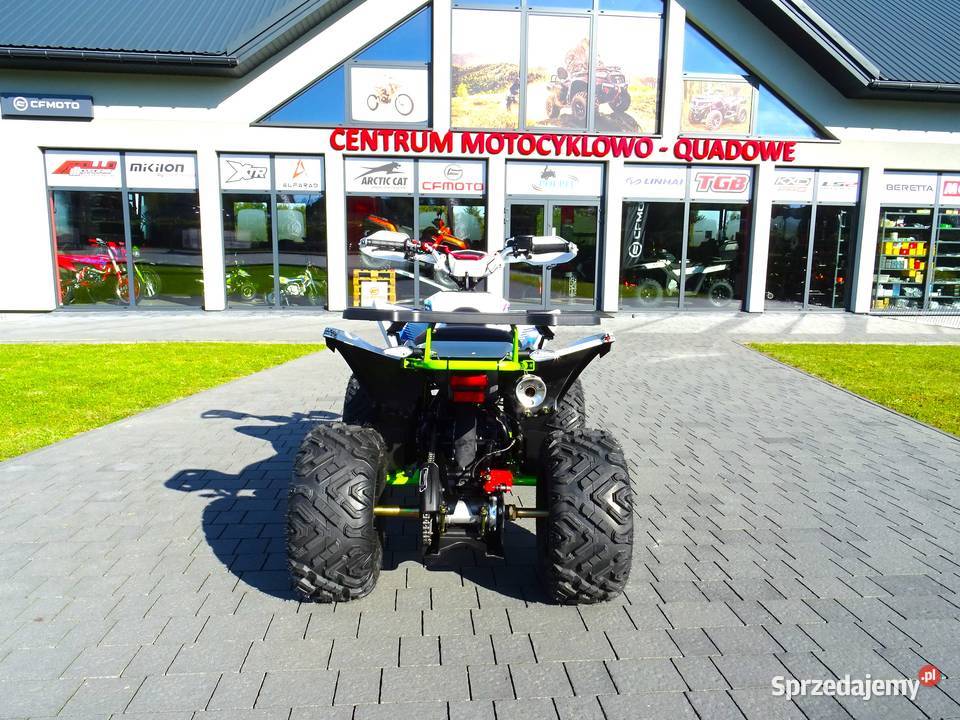 QUAD ASIX AVATAR 250CC 10 MANUAL 41 DZIECI I małopolskie Kraków