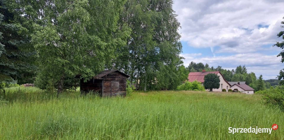 Sprzedam siedlisko 4000 m2 blacha Luta