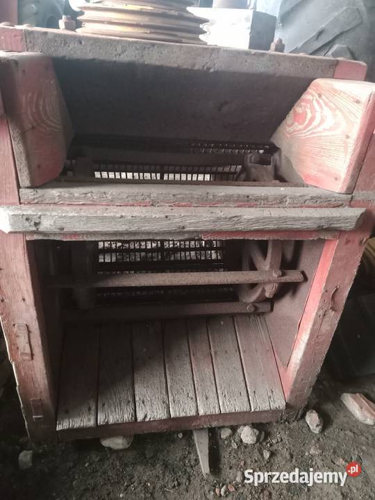 Kastra bukownik Probostwo Górne