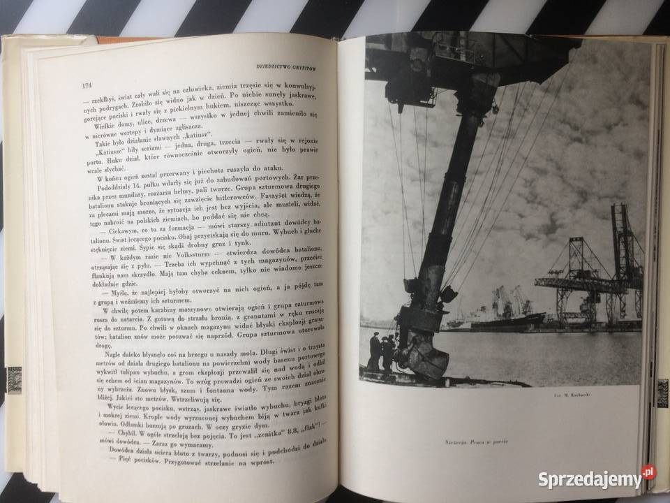 3589 Dziedzictwo Gryfitów Szczecin