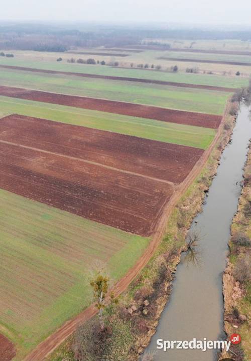 Ziemia rolna 2 hektary Brzóza gmGłowaczów 20000m2 Warszawa