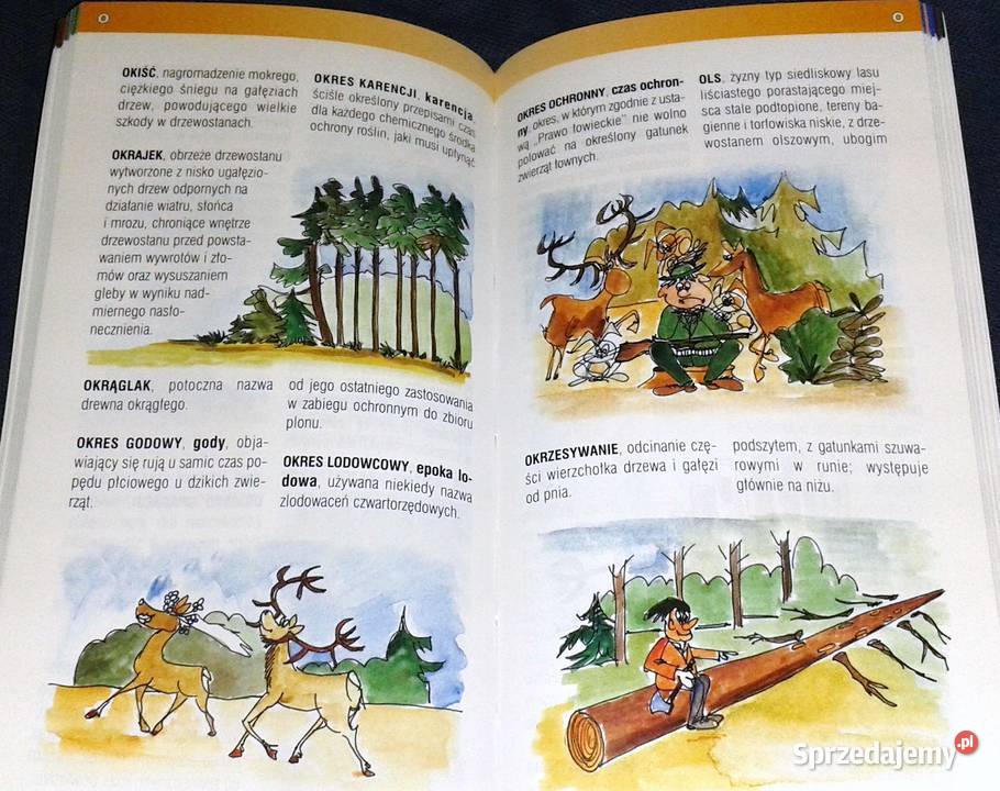 Las słowami opisany Słowniczek terminów leśnych miękka Chełm