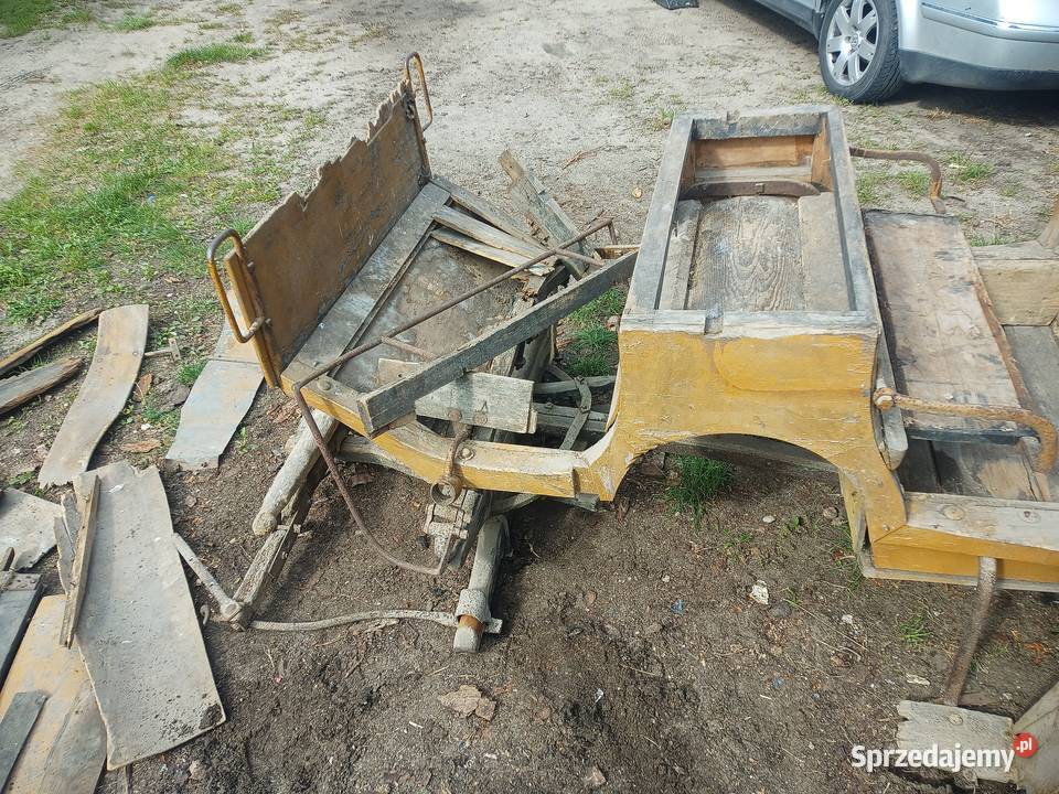 Bryczka konna Bytonia