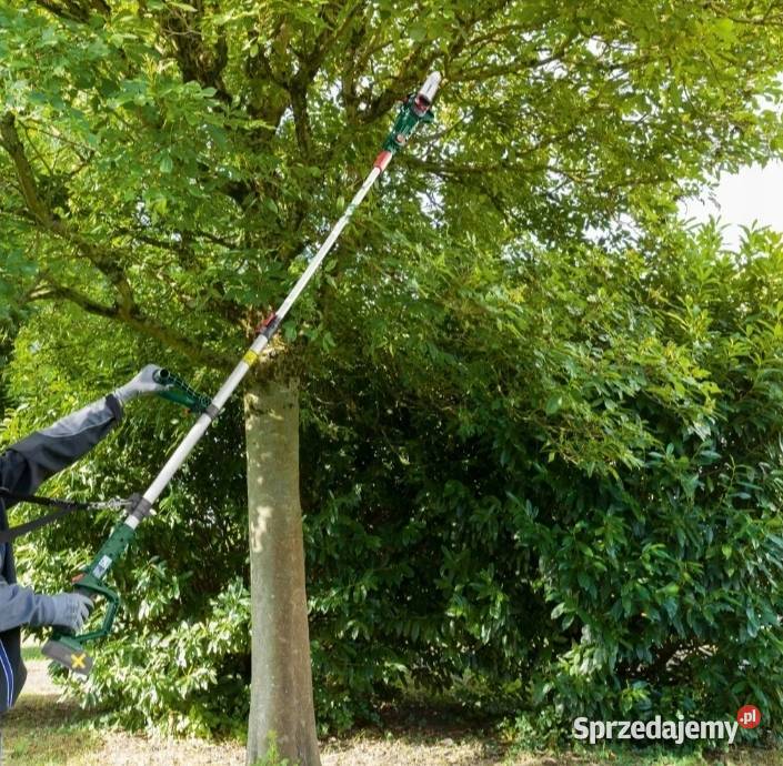 Teleskopowa piła okrzesywarka sprzedam do 4 m 20 lubuskie Nowa Sól