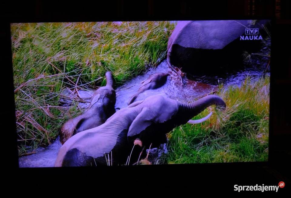 Telewizor 40 JTC LED UHD 3840x2160 LED