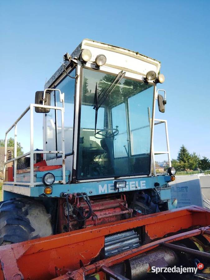 Kabina Mengele bizon Giby