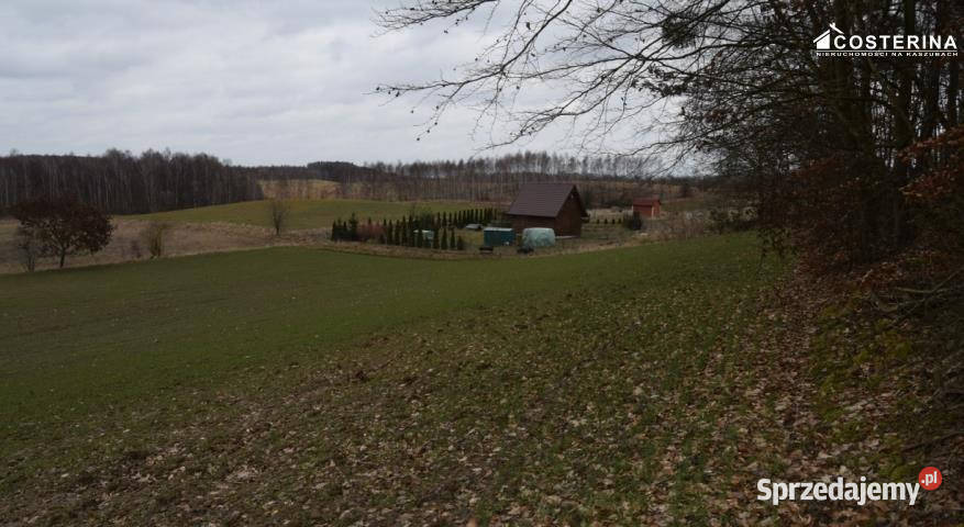 Działka Równe 14000m2