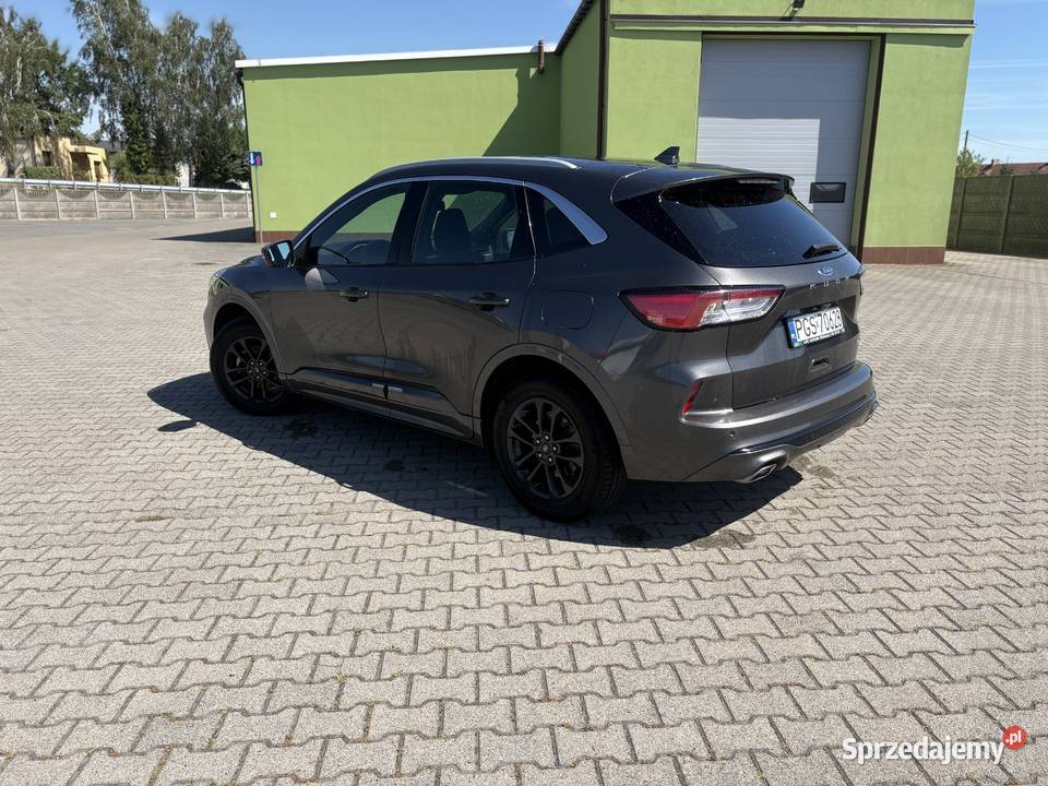 Ford Kuga 25 plug in hybrid Poniec