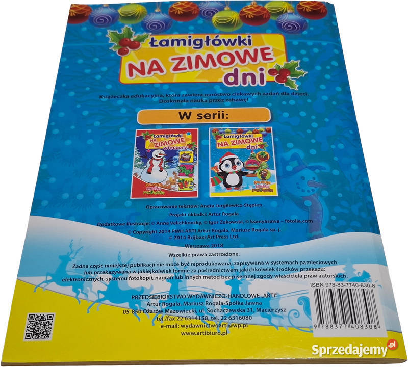 Łamigłówki na zimowe dni Arti 2018 Książeczki Książki dla dzieci Czeladź