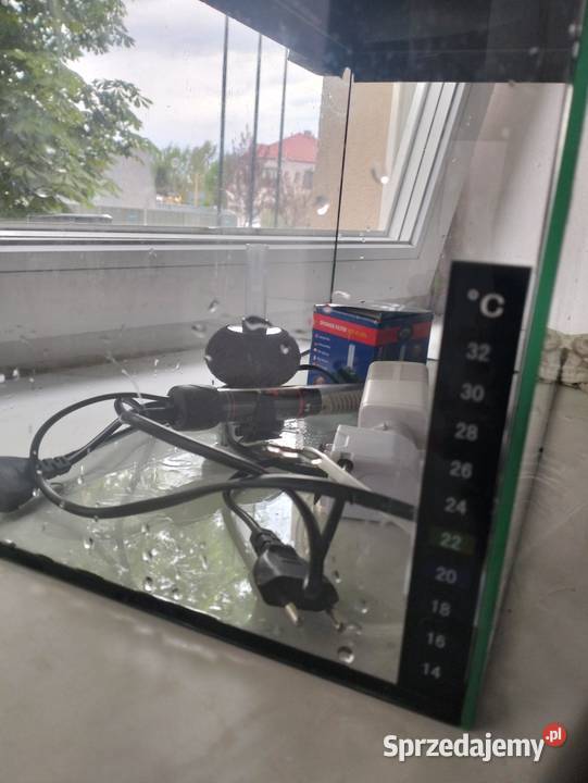 Akwarium około 40 litrów Bieruń