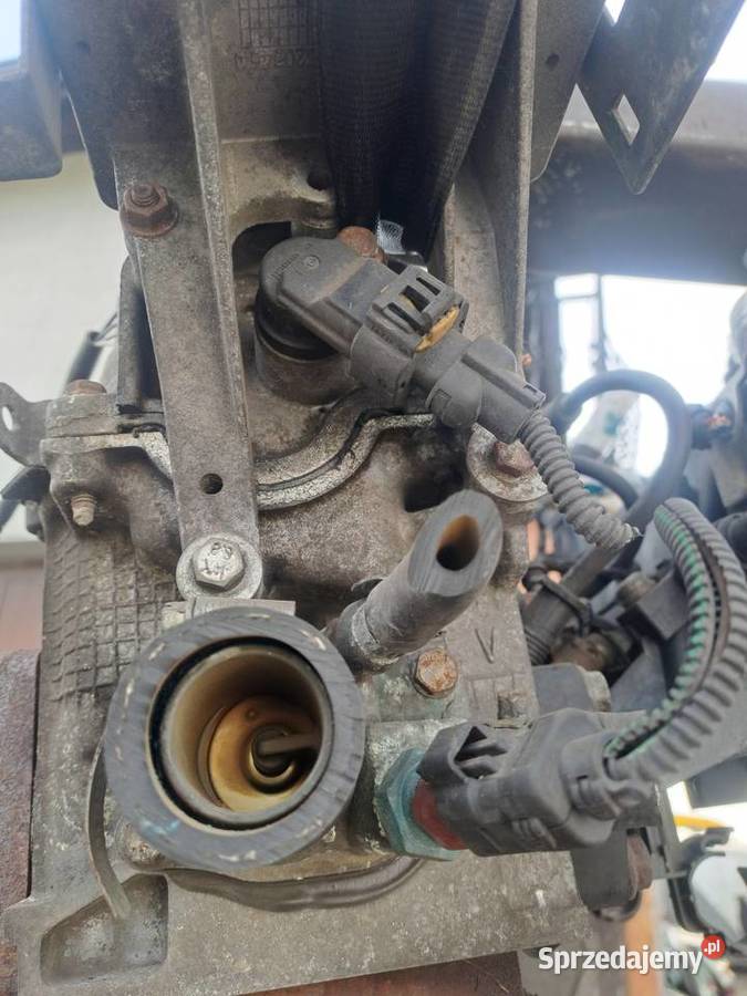 Fiat Grande Punto Evo 14 8V silnik kompletny kod Jastrzębie-Zdrój sprzedam