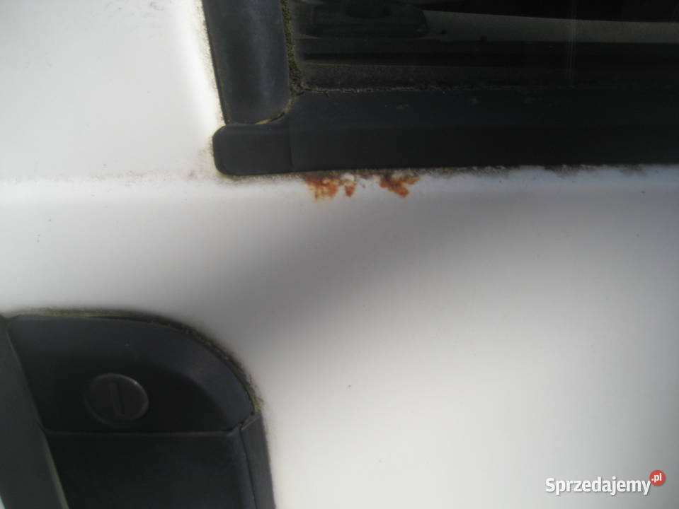 vw t4 9803r drzwi przód prawe białe Drzwi Rakoniewice sprzedam