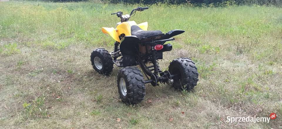 Quad bashan 200cc manual Świecie