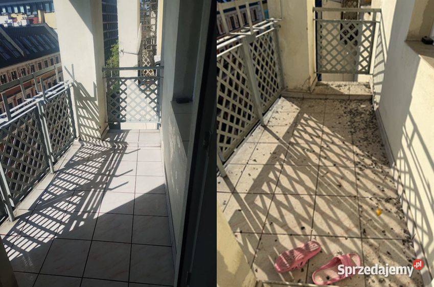 Dezynfekcja strychu mieszkań ptakach gołębiach Wrocław