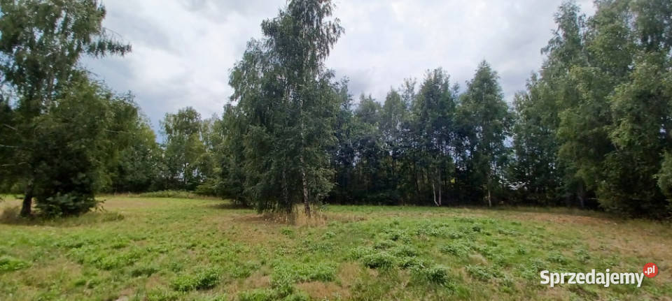 WarszawaRaszynTarczyn Posiadłość 2 ha z Tarczyn