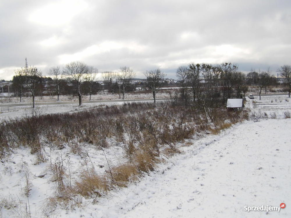 Działka budowlana Myślibórz Lipowa