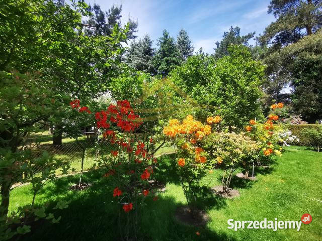 Grunt 506m2 Władysławów mazowieckie sprzedam