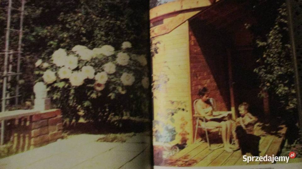 Działka moje hobby działka ogród rośliny uprawa Łódź sprzedam