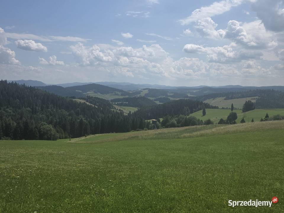 pole uprawne 6ha hrubieszówlipice 10zł/m2 Hrubieszów
