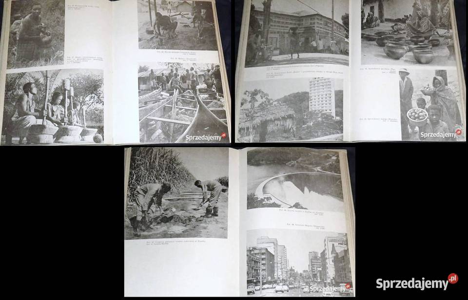 Geografia ekonomiczna Afryki Zbigniew twarda z obwolutą Chełm