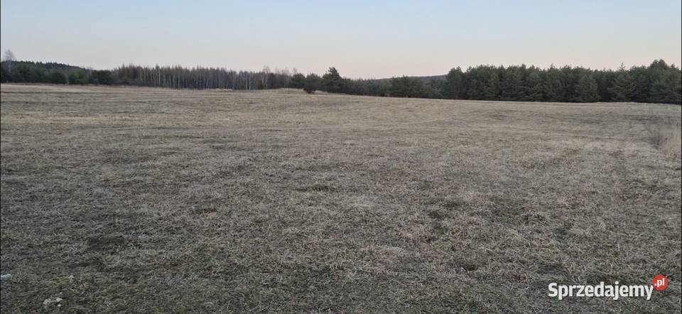 Sprzedam działkę 19950 m2 rolno budowlaną małopolskie Chechło