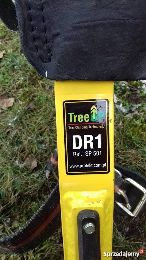 Wypożyczę drzewołazy śląskie Dąbrowa Górnicza