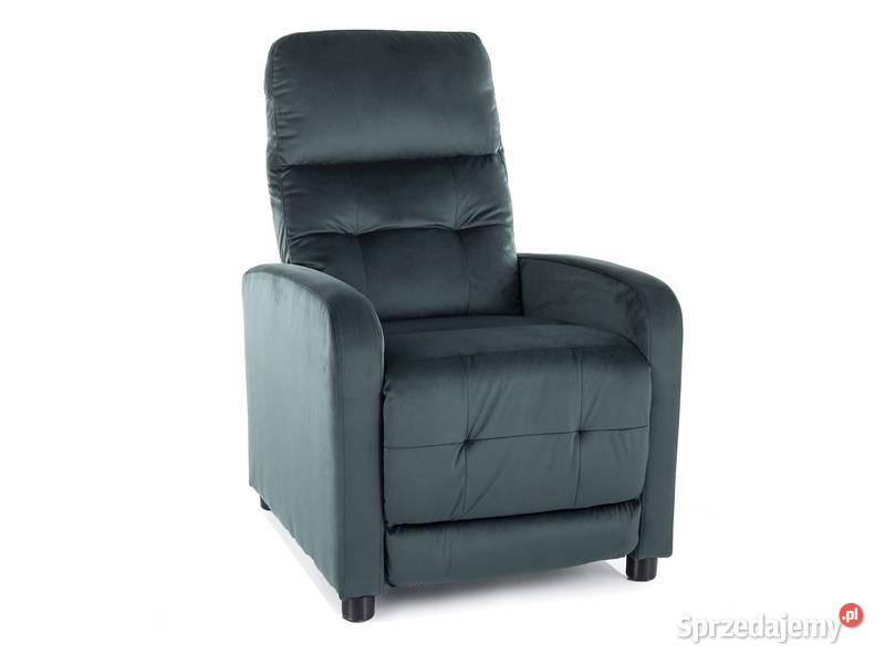 Folel z funkcją relaks super Dom i Ogród wielkopolskie Gniezno