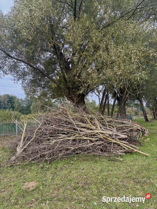 Drewno opałowe gałęziówka Rakowiec sprzedam