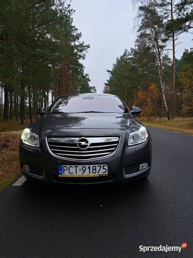 Sprzedam opel insignia 2009 r nieuszkodzony Czarnków