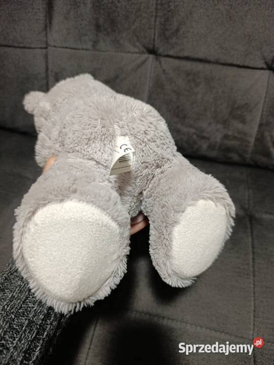 miś z serduszkiem wielkopolskie Poznań