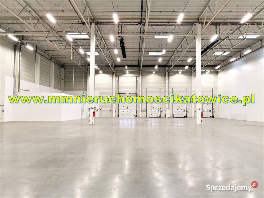 Magazyny z opcją obsługi 200 do 10000 m2 Będzin Wynajem