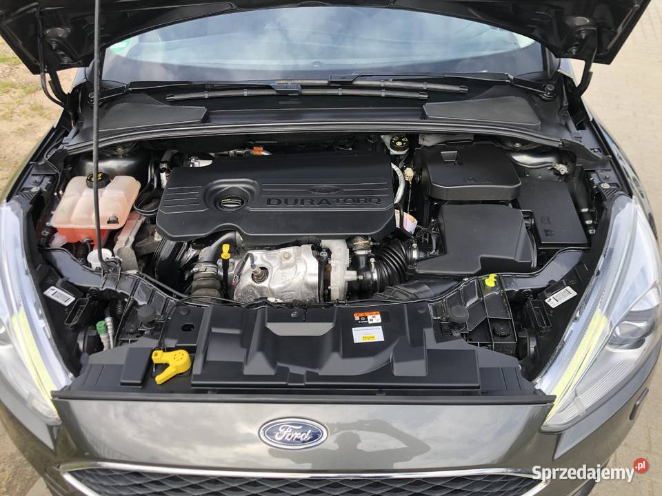FORD FOCUS TITANIUM PLUS 15TDCI 120 garażowany Lębork sprzedam