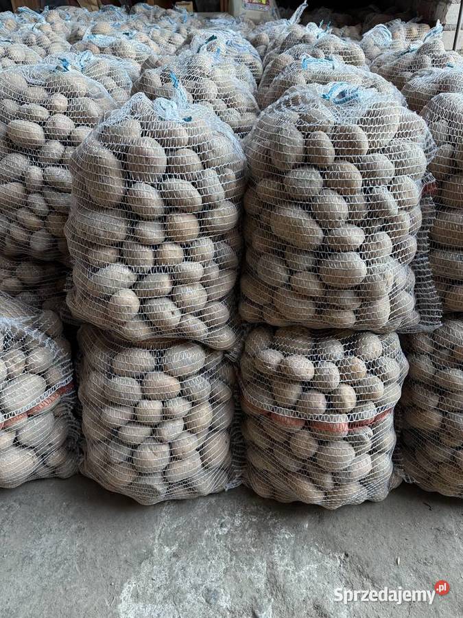 Ziemniaki Irga worki 15 Rośliny okopowe Błonie