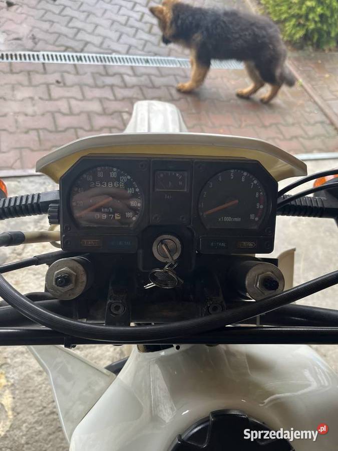 Kawasaki KLR 600 Królówka